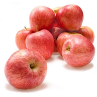 APPLES GALA