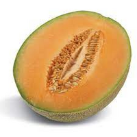 ROCKMELON