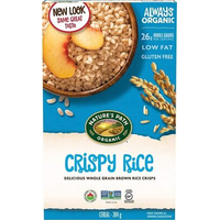 CRISPY RICE