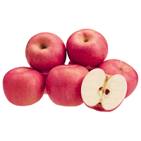 APPLES FUJI