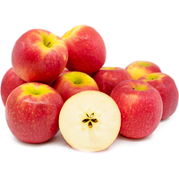 APPLES PINK LADY