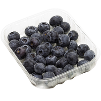 BLUEBERRY PUNNET