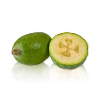 FEIJOA