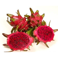 DRAGONFRUIT
