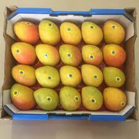 MANGO KENSINTON PRIDE TRAY BUY