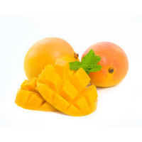 MANGO KENSINGTON PRIDE MEDIUM