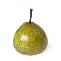 PEARS WINTER COLE