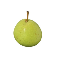 PEARS JOSEPHINE