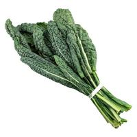 KALE TUSCAN