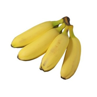 BANANAS LADY FINGER