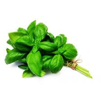 BASIL BUNCH LOCAL NOT CERTIFIED