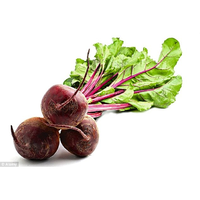 BEETROOT BUNCH
