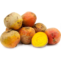 BEETROOT BULBS GOLDEN