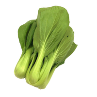 CHOY PAK