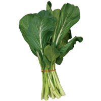 CHOY SUM