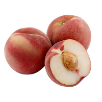 PEACHES WHITE OFC NSW