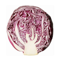 CABBAGE RED