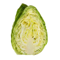 CABBAGE SUGAR