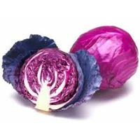 CABBAGE RED MEDIUM MIKOR