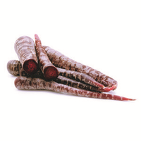 CARROTS PURPLE