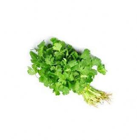 CORIANDER