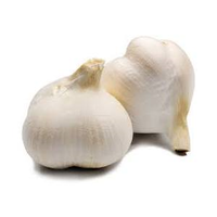 GARLIC RUSSIAN