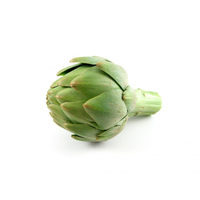 GLOBE ARTICHOKES