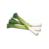 LEEKS