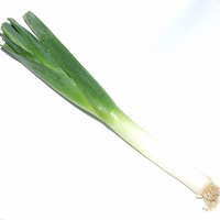 LEEKS