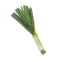 LEEK STEM EACH