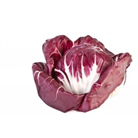 LETTUCE RADICCHIO