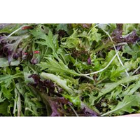 BABY SALAD LEAVES LOOSE