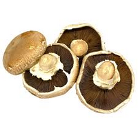 MUSHROOMS SWISS BROWN FLATS