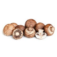 MUSHROOMS SWISS BROWN