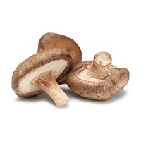 MUSHROOMS SHIITAKE PNT