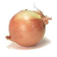 ONIONS BROWN