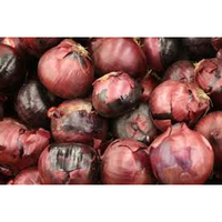 ONIONS SPANISH GRADE 2