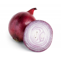 ONIONS SPANISH