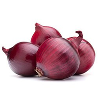 ONIONS SPANISH