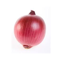 ONIONS SPANISH
