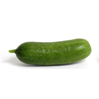 CUCUMBER LEBANESE FIELD GROWN
