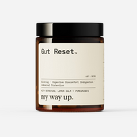GUT RESET
