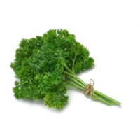 PARSLEY CURLEY