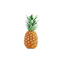PINEAPPLE SMALL/MED