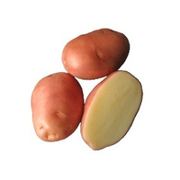 POTATOES DESIREE