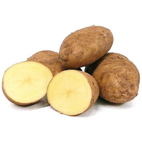 POTATOES NICOLA