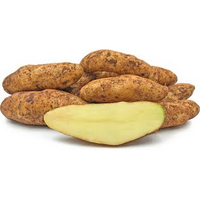 POTATOES KIPFLER