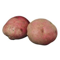 POTATOES PONTIAC