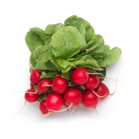 RADISH BUNCH