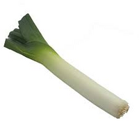 LEEK STICK CERTIFIED ACO NSW